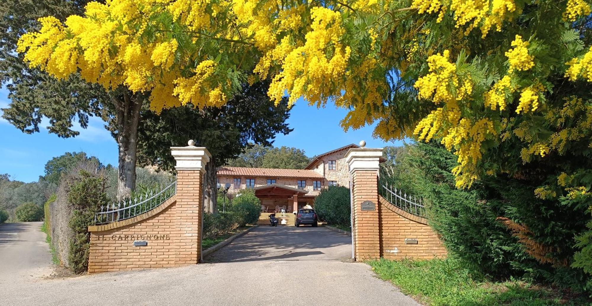 Agriturismo Capricorni 马萨马里蒂马 外观 照片