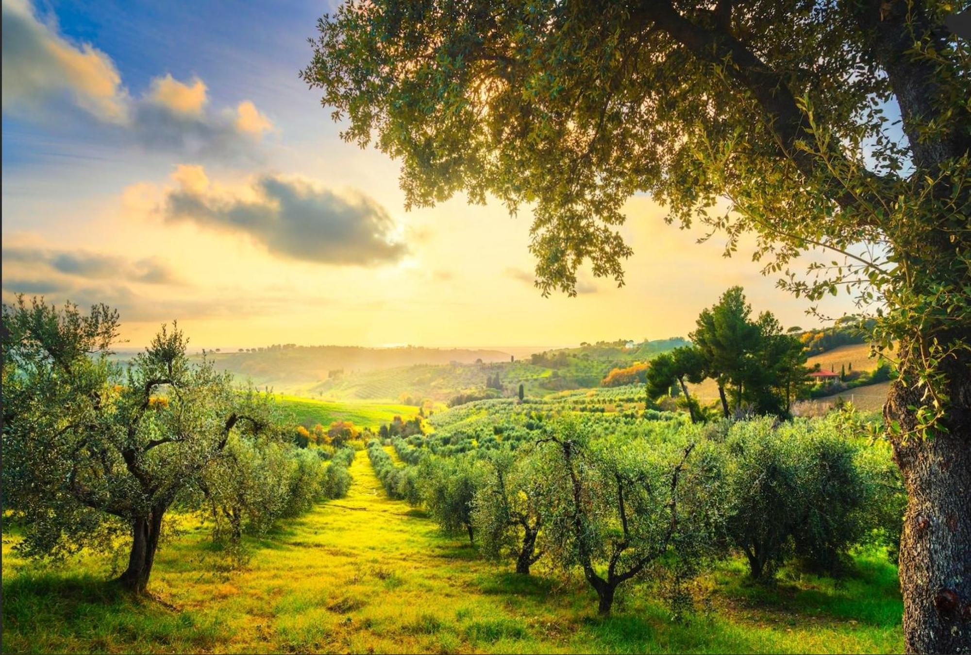 Agriturismo Capricorni 马萨马里蒂马 外观 照片